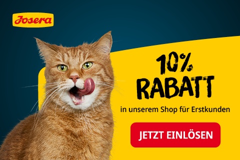 befriedigung in der badewanne Katzen beschäftigen: Hilfreiche Tipps gegen Langeweile!
